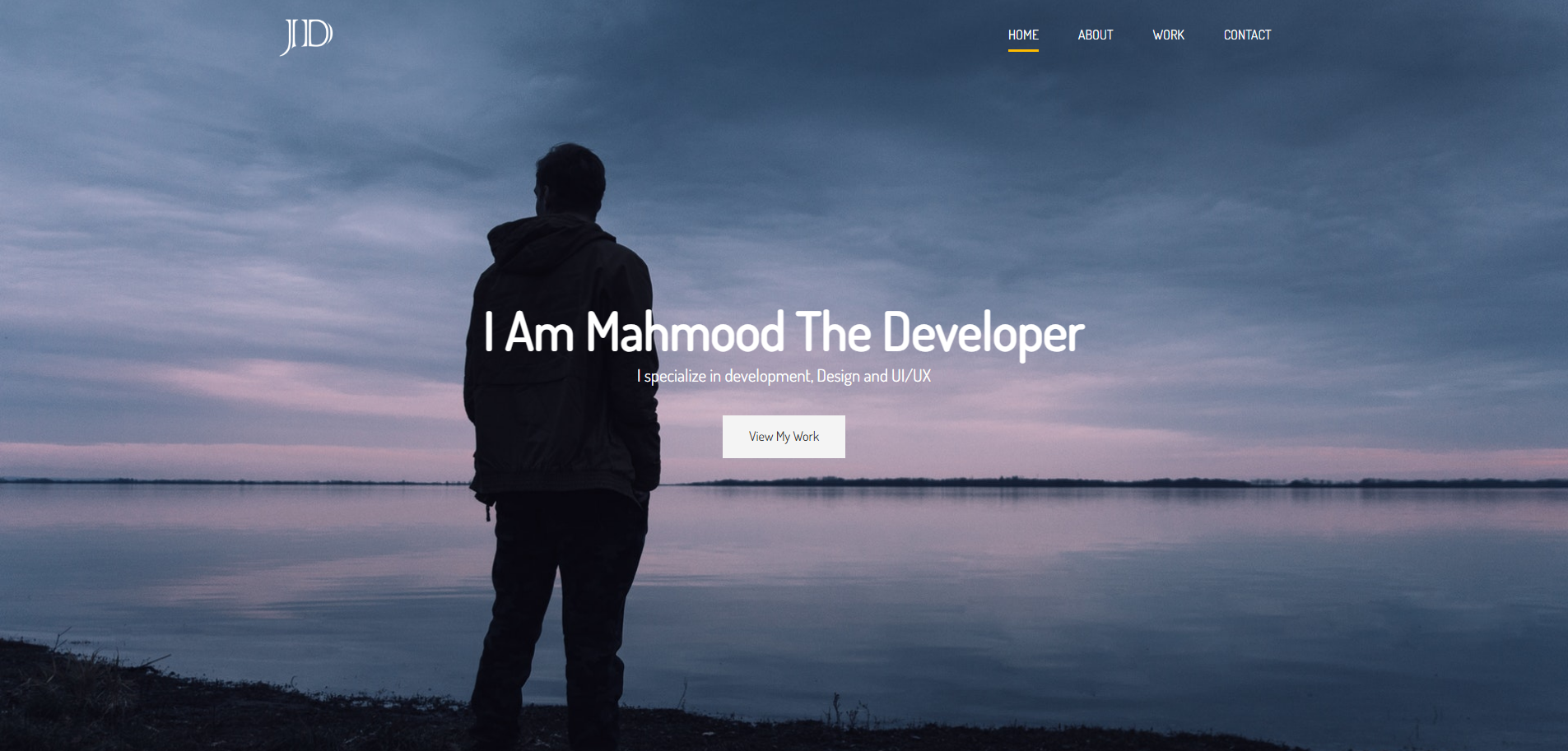 Portfolio Demo website